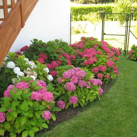 La Bourgade Bed and breakfast Estréelles