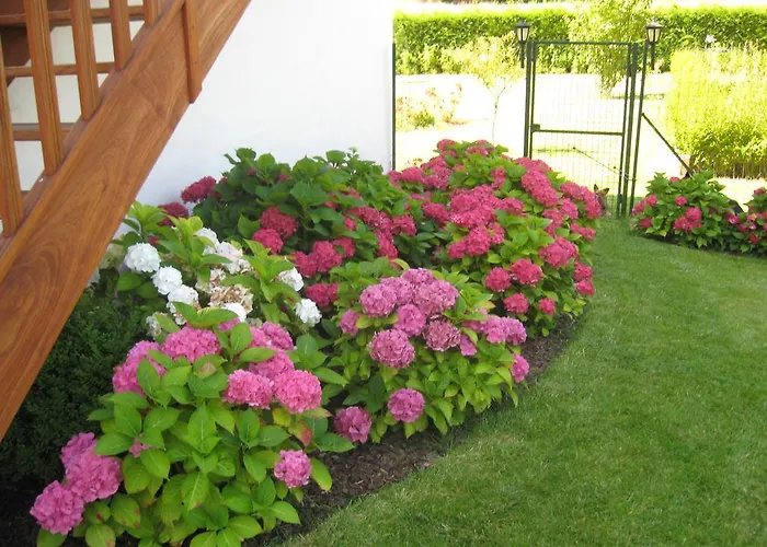 La Bourgade Bed & Breakfast Estréelles